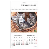 Calendar A3 policromie 6 coli 2 luni/coala Pisici 2023 Arhi